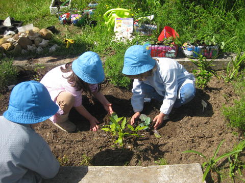7 - Plantar e semear na nossa horta